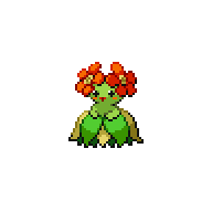 Bellossom