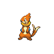Buizel