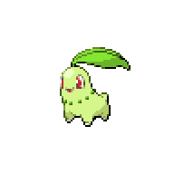 Chikorita