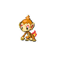 Chimchar