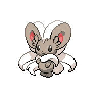 Cinccino