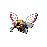 Ninjask