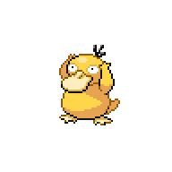 Psyduck