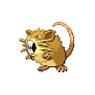 Raticate