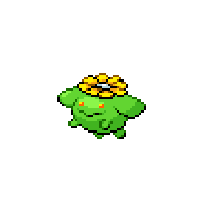 Skiploom
