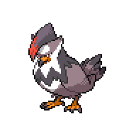 Staraptor