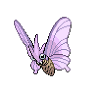 Venomoth