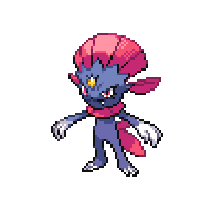 Weavile